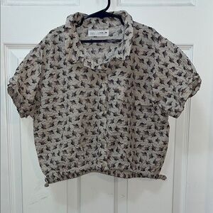 Zara crop blouse